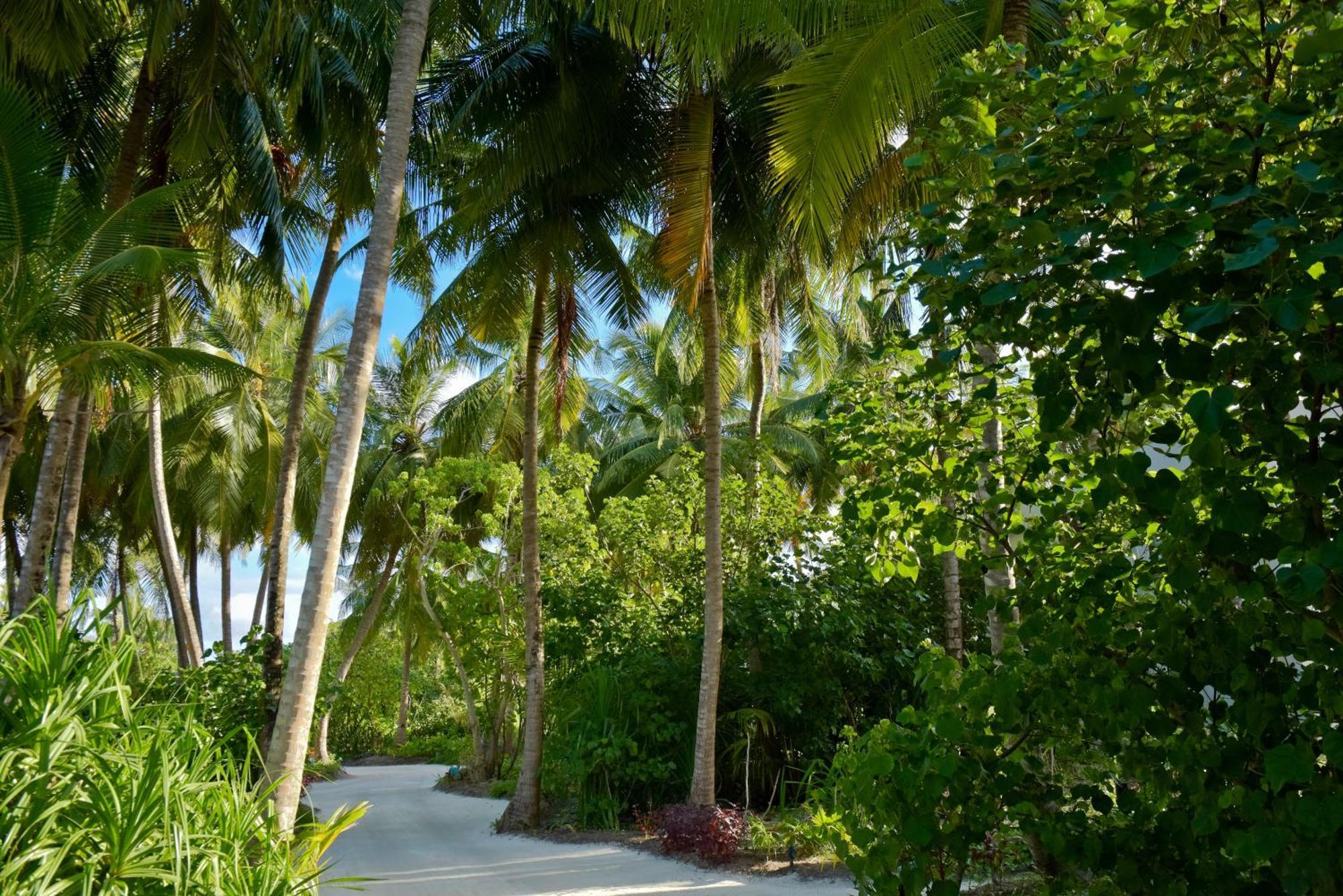 Kandima Maldives Kudahuvadhoo Exteriér fotografie A road in Maldives